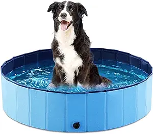 Jasonwell Foldable Dog Pet Bath Pool Collapsible Dog Pet Pool Bathing Tub Kiddie Pool Doggie Wading Pool for Puppy Small Medium Large Dogs Cats and Kids 32" Blue

Portable: foldable, easy to store and bring with you and your dog everywhere
Simple: No need of inflation,set up in no time. With bottom/side drain, easy to drain and refresh water
Slip Resistant & Durable: made of extra-tough PVC. Thicker slip resistant material on the bottom
Size: Available in 5 Sizes.S---32" x 8", M---39.5" x 12", L---48" x 12", XL---55.1" x 12", XXL---63" x 12"
Enviromentally friendly material: EN71,ASTM standard. Please Trim your dogs' nails before using the pool.