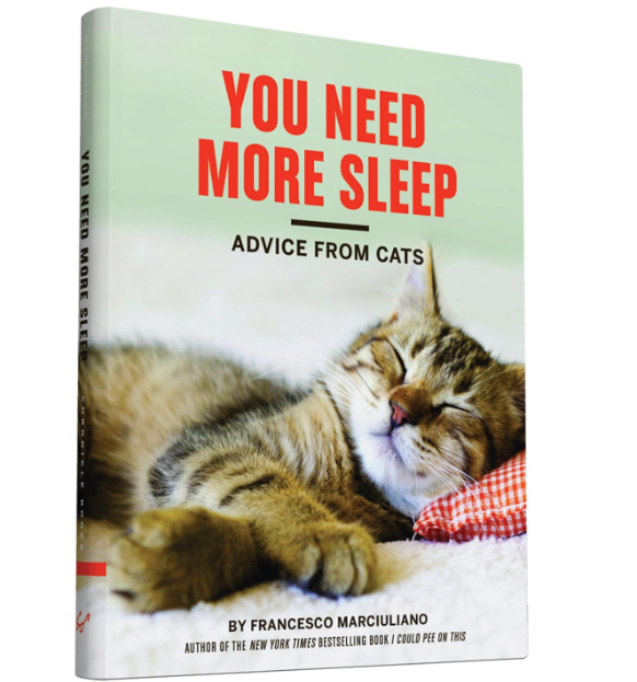 You Need More Sleep: Advice from Cats