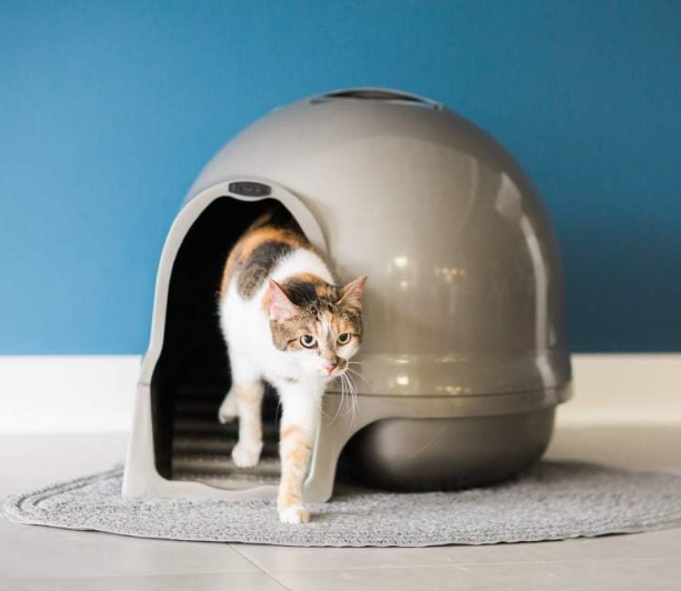 Petmate Booda Clean Step Cat Litter Box Dome (Made in the USA with 95% Recycled Materials)- Titanium, Made in USA