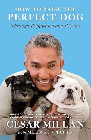 How to Raise the Perfect Dog: Through Puppyhood and Beyond

From the bestselling author and star of National Geographic Channel's Dog Whisperer, the only resource you’ll need for raising a happy, healthy dog.

For the millions of people every year who consider bringing a puppy into their lives–as well as those who have already brought a dog home–Cesar Millan, the preeminent dog behavior expert, says, "Yes, you can raise the perfect dog!" It all starts with the proper foundation in the early years. Here, Cesar tells you everything you need to know to create the best environment for a well-balanced dog in order to avoid behavior issues in the future, and shows you how to correct the most common behavior issues for young dogs.

Based on Cesar’s own detailed experiences raising individual puppies from some of the most popular breeds, How to Raise the Perfect Dog is like having Cesar right beside you, as your own personal expert, coaching you and your dog from the first day of your life together.