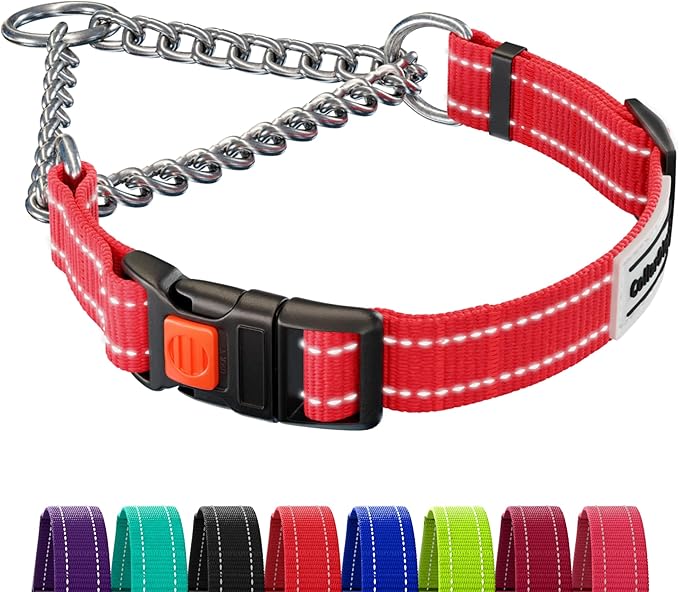 CollarDirect Martingale Dog Collar with Stainless Steel Chain and Quick Release Buckle