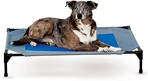 K&H Pet Products Coolin' Pet Cot, Elevated Dog Cooling Mat, Cool Dog Cot for Large Dogs, Dog Camping Gear, Outdoor Raised Dog Bed with Cooling Center - Gray/Blue, Large 30 X 42 X 7 Inches