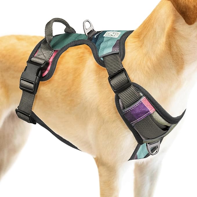 Embark Urban Dog Harness, No-Pull Reflective Trim Dog Harness for Small, Medium & Large Dogs - Heavy Duty Oxford