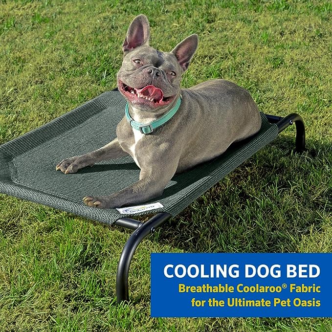 COOLAROO The Original Cooling Elevated Dog Bed, Indoor and Outdoor, Small, Grey
COOLING DOG BED – Coolaroo’s signature breathable fabric promotes air circulation on all sides of the bed, keeping your dog cool and comfortable all year long
RELIEVES JOINT PRESSURE POINTS - Raised dog bed design helps to eliminate hot spots and fabric flexibility creates low-impact areas to relieve joint pressure points
EASY TO CLEAN - washable pet bed with removable cover makes it easy to clean, simply hose off with water or wash with a damp towel - use mild cleanser for deep cleaning
ECO-FRIENDLY - Fabric is 100% Recyclable GREENGUARD certified fabric: free of harmful lead and phthalate chemicals
PORTABLE & LIGHTWEIGHT - Travel dog mat is ideal for the home and abroad. Suitable for both indoor and outdoor use
GREENGAURD certified