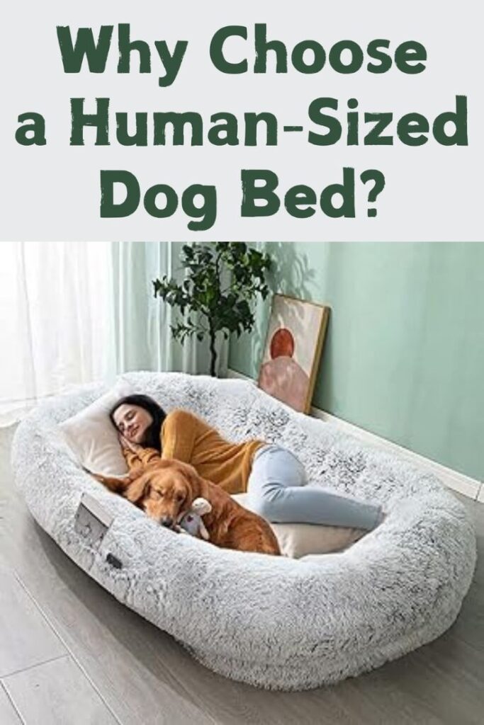 The Ultimate Guide to the 10 Best Large Dog Beds for Big Breeds

Ensure your beloved  pet experiences utmost comfort and ample space with dog beds designed for human proportions. By carefully choosing a bed that suits your dog’s size, health, and preferences, you can provide them with a lavish resting place that promotes their overall well-being. Our selection of top-rated beds, ranging from memory foam to elevated designs, guarantees optimal comfort and support for your furry companion. Pamper your dog with the luxury and practicality of a human-sized bed, and let them revel in the comfort they deserve. 