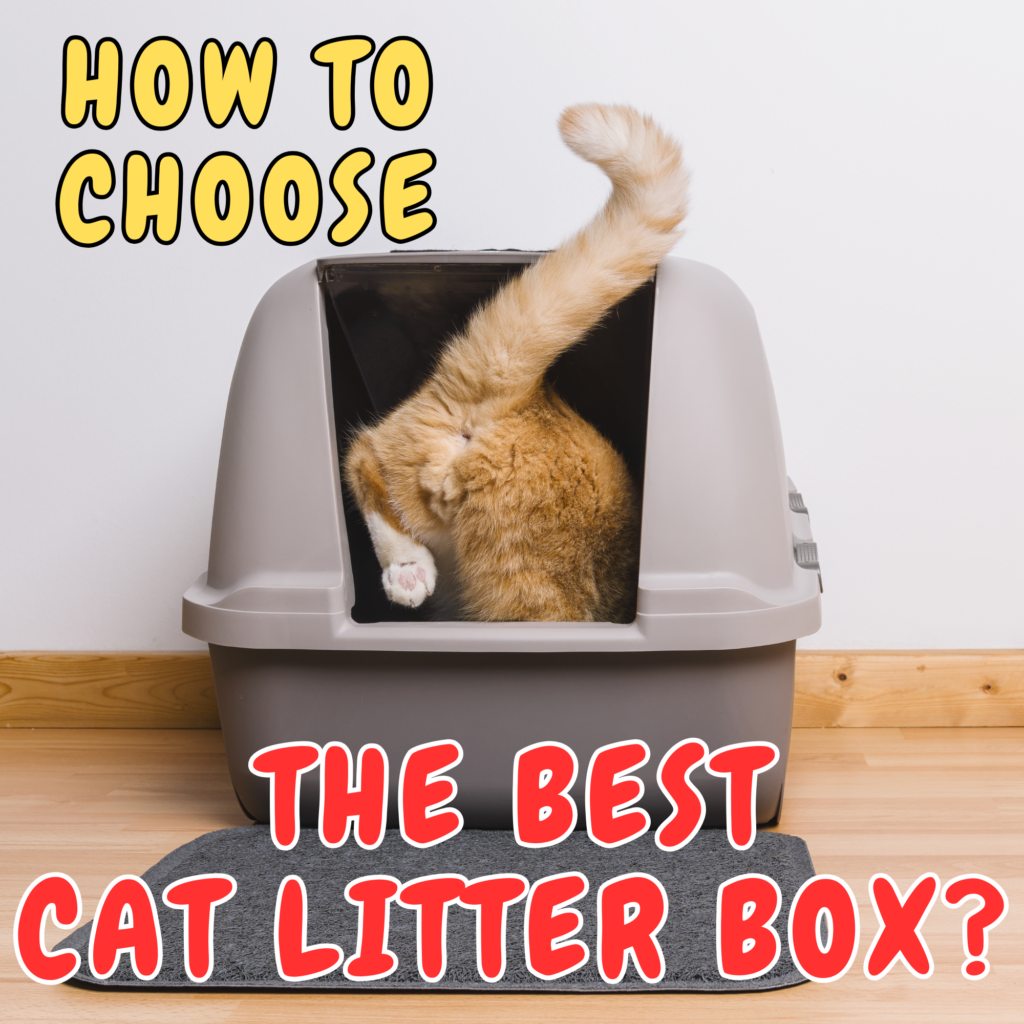 How to Choose the Perfect Cat Litter Box
Choosing the right cat litter box is one of the most important decisions a cat owner can make. A good litter box not only ensures your home stays clean and odor-free but also keeps your furry friend happy and healthy. With countless options on the market, from basic trays to high-tech self-cleaning models, finding the best cat litter box can be overwhelming. That’s why we’ve done the research for you, compiling a comprehensive guide to the top litter boxes available today.