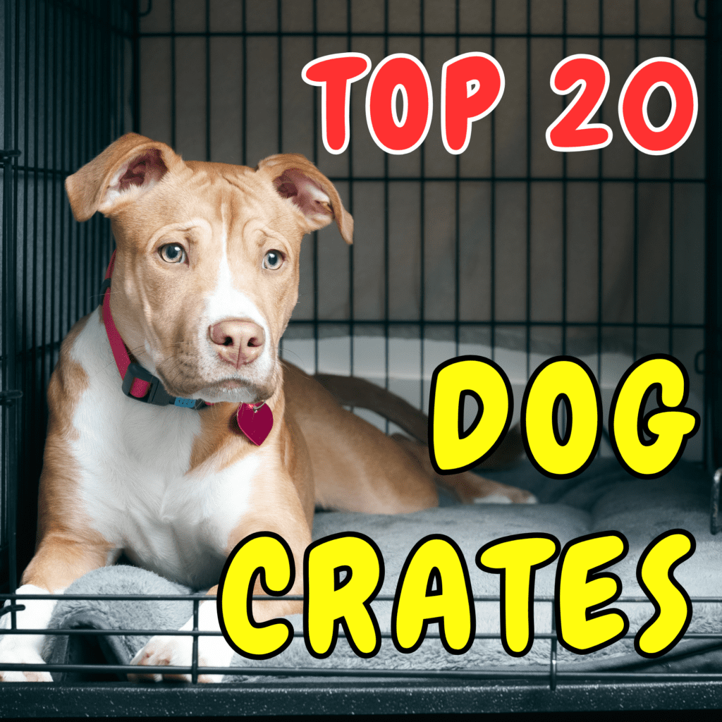 Top Dog Crates: 25 Best Picks for Comfort and Security
Dog crates are a vital tool for dog owners, providing a safe and comfortable space for  pets. They are useful for training, travel, and creating a secure environment for your dog. This comprehensive guide covers everything you need to know about dog crates, from choosing the right type and size to practical tips for crate training and maintenance. Whether you’re a new  pet parent or a seasoned dog owner, this guide will help you make informed decisions and enhance your dog’s quality of life.