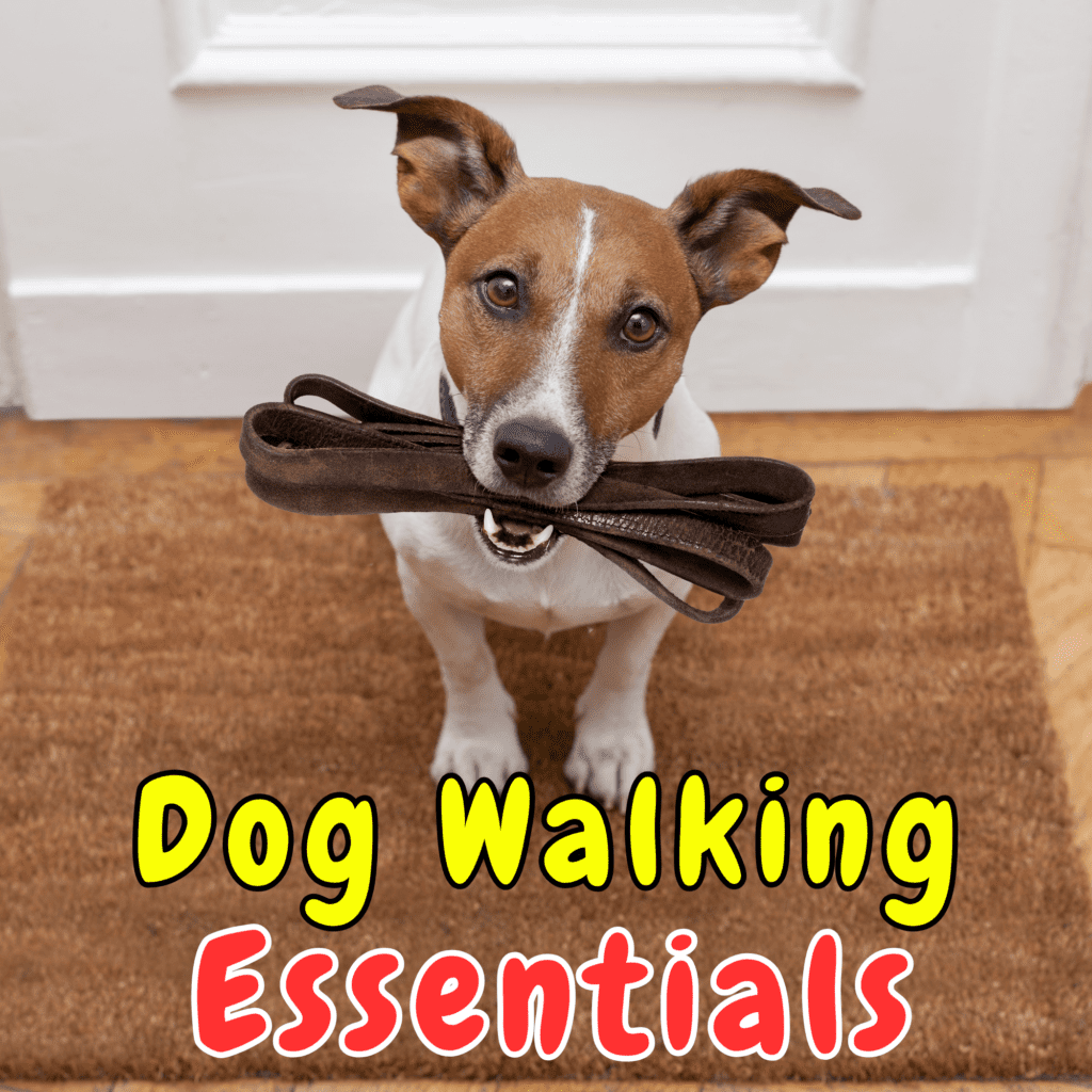 The Ultimate Dog Walking Checklist: Essentials for Owners