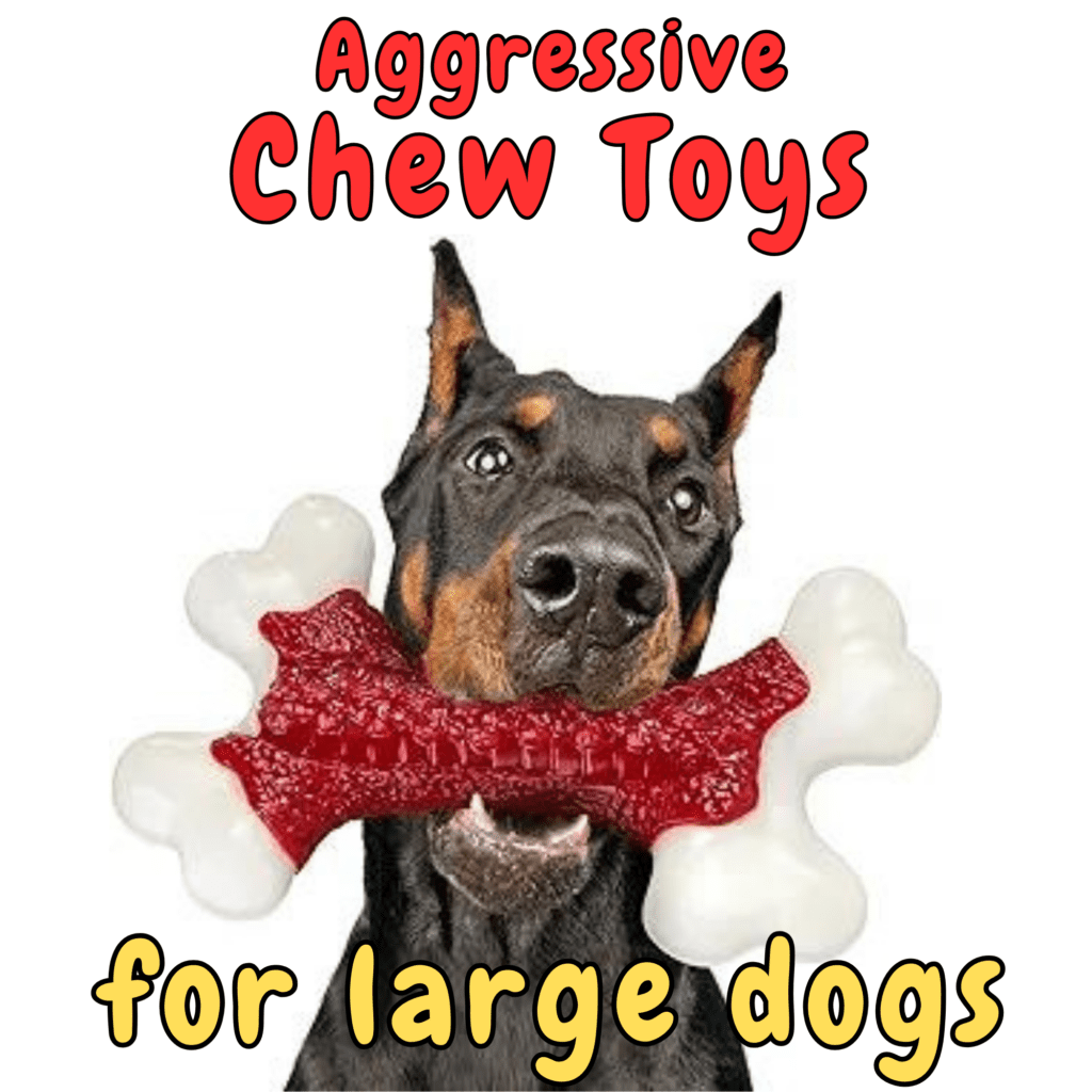 Best Large Dog Chew Toys: Strong for Aggressive Chewers