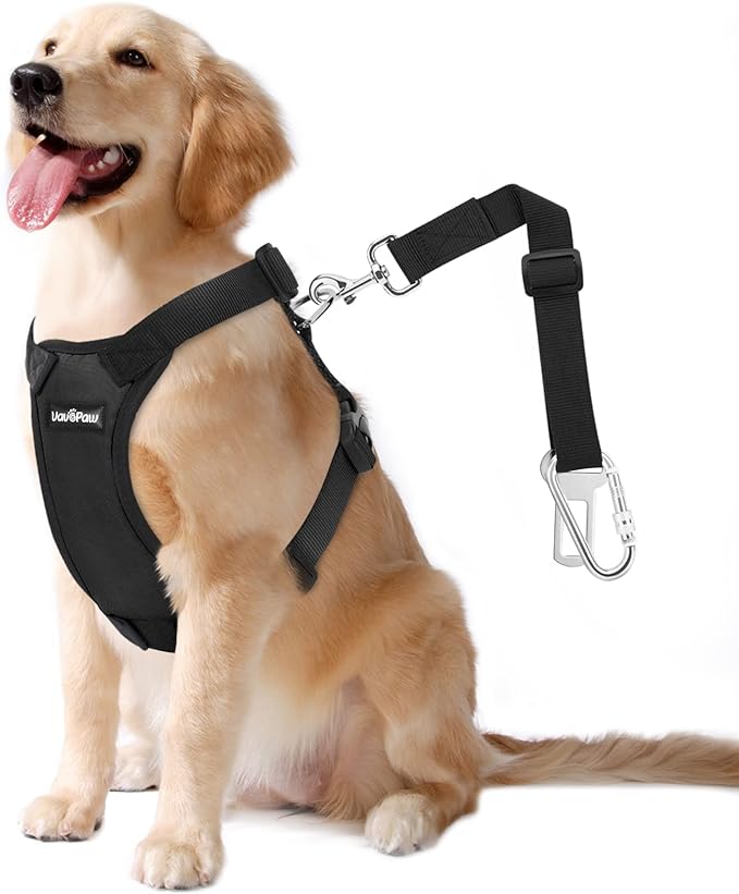 STRONG SECURITY: This car vest harness is specially designed for preventing pet dog running around in the car to distract the driver's attention and further protecting dog's safety during the during time.
EASY TO USE: After the pet wears it, hook one end of the safety belt with it and insert the other end into the safety belt socket. Equipped with a carabiner to better resolve the problem of buckle's compatibility, universal fit for the most of car models.
SOFT & COMFORTABLE: This vest harness is made of an extremely strong Oxford fabric (Polyester), filled with soft sponge, and lining with an elastic mesh cloth to make dogs feel soft and comfortable.
STABLE STRUCTURE: X-shaped structure harness to allow your dog happier to wear it, great stability will protect pet from injury in case of emergency.
EXQUISITE WORKMANSHIP: The edges treated with exquisite stitching workmanship, and come with a D-ring to make you easy to install a strap on it, very convenient for using. You can enjoy its excellent quality.