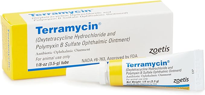 Veterinary antibiotic ointment for treating eye infections in dogs, cats, cattle, horses, and sheep with active ingredients oxytetracycline hydrochloride and Polymyxin B Sulfate. for treating eye infections in dogs, cats, cattle, horses, and sheep with active ingredients oxytetracycline hydrochloride and Polymyxin B Sulfate
Treats diseases such as conjunctivitis, keratitis, pink eye, corneal ulcer, blepharitis, and bacterial inflammatory conditions resulting from other infectious diseases. Use only as directed. Consult product instructions for details
Terramycin is a broad-spectrum antibiotic treatment for the eye infections specified on product labeling. Available OTC except for in the State of California where a prescription is required to purchase the product
Easy to administer with no need for separate applicators or accessories. Apply topically to the eye of the animal 2 to 4 times daily as needed
Contains one 0.125oz/3.5g tube of ointment. For animal use only. Made in Switzerland
Age Range Description: All Ages
One of its main ingredients, oxytetracycline, works by blocking the ability of bacteria to produce proteins which helps them to grow and multiply.