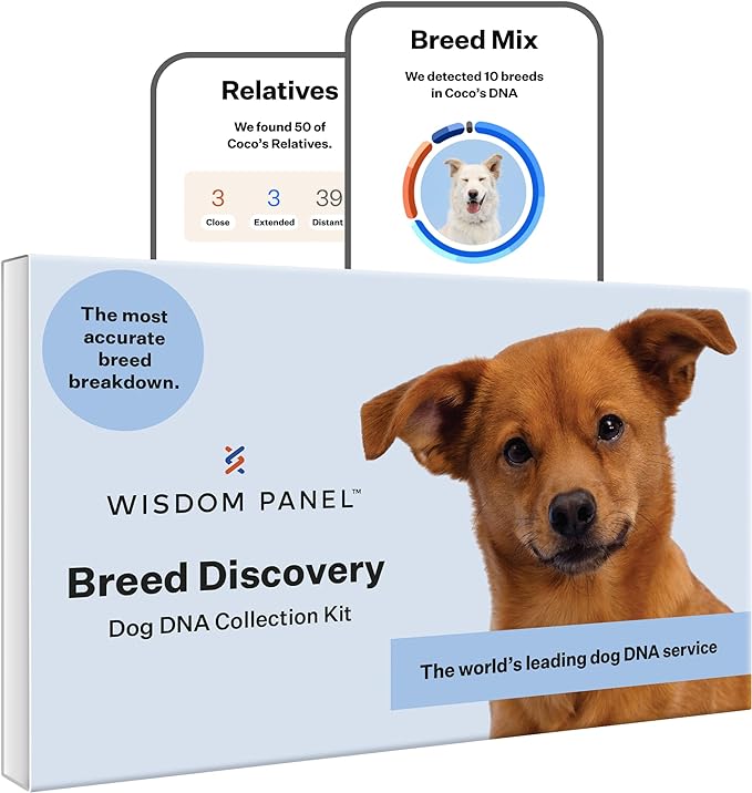 The Most Accurate Breed Detection: Screen for 365+ breeds to get a breed report down to 1%. Because knowing every detail helps you understand how to care for them.
Test For Medication Sensitivities. With an MDR1 test, you’ll know if your dog may have a negative reaction to commonly used medications.
Meet Their Relatives: 99.9% of dogs find a relative through Wisdom Panel. With the world’s largest breed database and 4 million dogs tested, you can see photos, compare DNA results, and send messages.
Understand Their Ancestry and Behavior: Trace their family tree back three generations to learn how their unique breed mix came to be. Plus, understand their individual quirks with insights into their behavioral tendencies.
4M+ Pets Tested In 50+ Countries: Wisdom Panel is the world’s leading Dog DNA Service thanks to its quick, painless swabbing process, fast and accurate results, and reliable insights you can use for years to come.