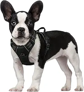 rabbitgoo Dog Harness, No-Pull Pet Harness with 2 Leash Clips, Adjustable Soft Padded Dog Vest, Reflective No-Choke Pet Oxford Vest