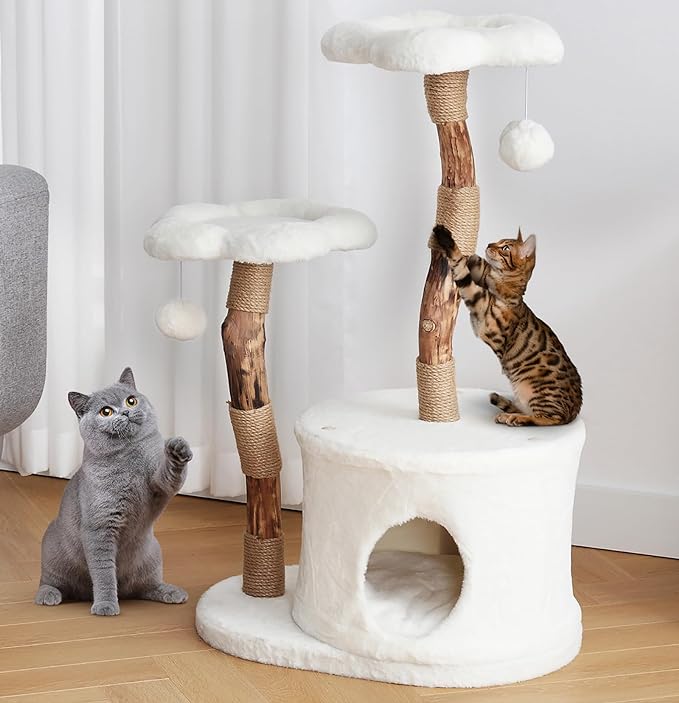 NATURAL EXPRESSIONS Modern Cat Tree and Tower for Indoor, Luxury Solid Wood Cat Condo for Large Cats, Flower Cat Tree with Scratching Post, Cat Climbing Furniture with Cat Hiding Enclosure

EXQUISITE AND UNIQUE DESIGN: Modern cat trees with gorgeous details and delicate wood to mimic the appearance of the tree, is the great decoration to enhance the image of your home, combining modern, simple beauty with the cat's instinct to climb, play and relax, it can give your cat a leisurely nap time, while you can enjoy a beautiful work of art
MODERN CAT FURNITURE FOR LARGE CATS: This indoor cat tower for cats can accommodate cats weighing up to 20 pounds, or even multiple cats, and it is made of very sturdy, high-quality materials made of solid wood that will last for many years. Solid wood trunk tightly wound with high quality sisal, wear-resistant and scratch-resistant, allows your pet to fully release the wild nature of climbing
STURDY, STABLE, SAFE: Overall size: 20.8" L x 16.7" W x 37" H, Weight: 18.9Lb, Large base size: 22.8" x 16.7", The heavy and wide base ensures the stability of the cat tree, your cat can jump, play, watch and relax without worrying about the cat tower falling over, ensuring you cat's safety
EASY TO INSTALL AND CLEAN: Designed for easy assembly, tools and instructions included. You can complete this installation in 20 minutes and easily create a wonderful playground for your cat. These trees are very easy to clean, the cushions on the cat furniture are machine washable, other parts can be cleaned with a vacuum cleaner or with dry foam cleaner
MULTI-PURPOSE ACTIVITY CENTRE: this cat tower offers two flower-like perching platforms, two fur balls, a luxury cat condo and comes with sisal wrapped cat climbing posts. The Cat Tree is designed to cater for the various needs and play of cats with different personalities.