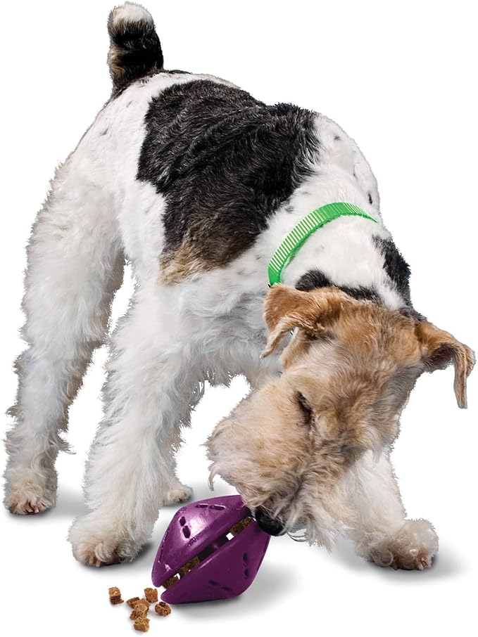 PetSafe Busy Buddy Twist 'n Treat Dispensing Dog Toy - Medium