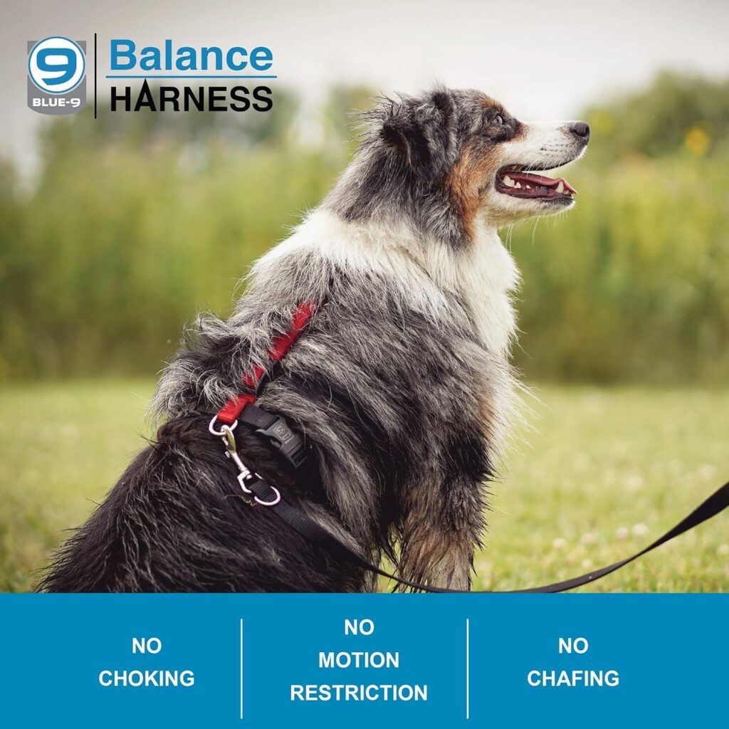 Perfect Fit: Our Balance Harness offers 6-points of adjustment to fit all dogs comfortably and securely. Refer to our size chart in product images and measure around your dog’s ribcage, about 2 inches behind your dog’s elbow, for their best fit.
No Restrictions, No Pulling: Our harness is designed to allow your dog a full range of motion without harm. It’s no choke; no chafing design won’t restrict their mobility. The two D-rings, one on the back and one on the chest help manage pulling.
Buckle Neck: The front clip at the neck of the harness allows you to buckle the harness on much like a collar. This is ideal for dogs that don’t like having a harness pulled over their head or for dogs that have a larger head.
Leash Options: Our escape free harness is designed with multiple leash attachment points. There are rings at the front and back of the harness; use whichever helps manage pulling best or in tandem. This harness is great to use with a training leash.
Passionate Perfectionists: Blue-9 develops premium solution-based products to promote and strengthen the human-canine bond. We stand behind our products that are proudly made in the USA***.