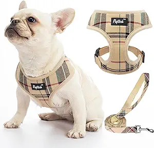 DIFFERENT DESIGN: The harness is adopted with a plaid pattern which is designed by our internal brand team, so it's unique and very different from other normal harnesses. This plaid pattern looks both classic and stylish and is never out of date. It's great for everyday walking or going to a holiday party. It makes your furry friend look so lively and cute
QUALITY MATERIALS: Made of premium polyester materials, it's adopted with an air-mesh design, so it's very lightweight and breathable. The soft edge keeps the dog always comfortable, it's no pull and no choke. And sturdy webbings make sure the harness can be used for a long period. The metal D-ring will connect to the matching leash to keep the control by you
ALL DAY & ALL SEASONS WEARING: This harness leash set is very lightweight, soft, and breathable, even after a full day of wear, it won't make your dog feel uncomfortable and will still stay active. Besides, the harness fits four seasons wearing, keeps the dog cool in summer, and it offers warmth to your dog in winter, in the harness outside you can give the dog to wear another piece of clothing is also possible
EASY TO PUT ON & TAKE OFF: Even new dog owners are able to quickly grasp the operation. You just need to open the quick-release buckle, let your dog's head and front legs through the harness, then lock the buckle, and adjust the harness to the fittest size, finished! [NOTICE]: You can refer to the video to see how to wear the harness. Besides, the harness can't adjust around the neck, so please refer to the size chart to make sure your puppy's head can go through the harness