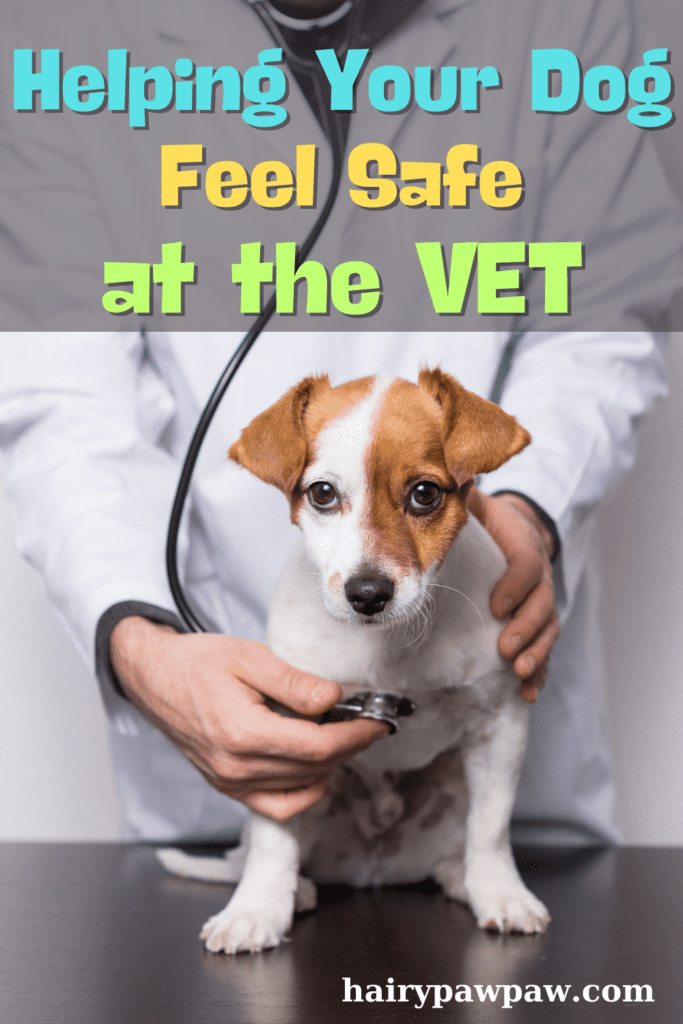 How to Help Dogs Overcome Vet Anxiety: 10 Simple Tips