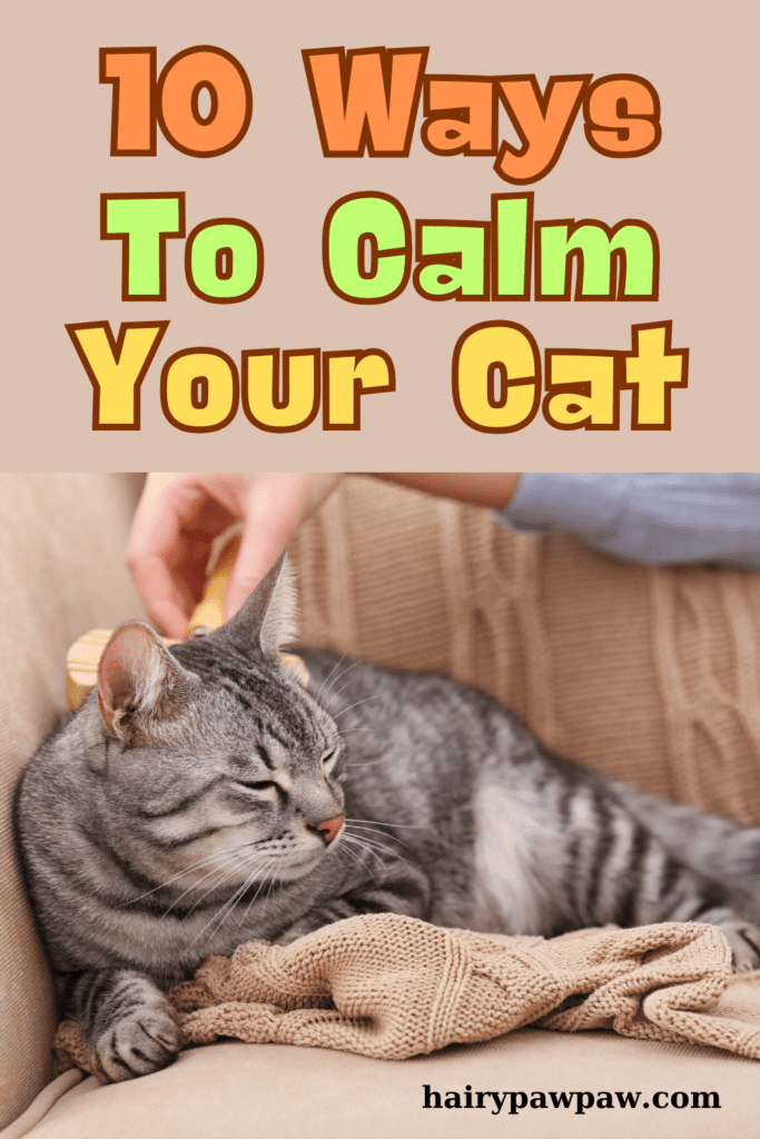 10 Proven Techniques for Keeping Your Cat Calm and Happy

Cats are known for their independent and sometimes aloof nature, but they can also experience stress and anxiety just like any other  pet. Whether it’s due to a change in their environment, a visit to the vet, or the introduction of a new pet, it’s important to know how to keep your cat calm. In this detailed guide, we’ll explore 10 effective ways to help your feline friend stay relaxed and content.