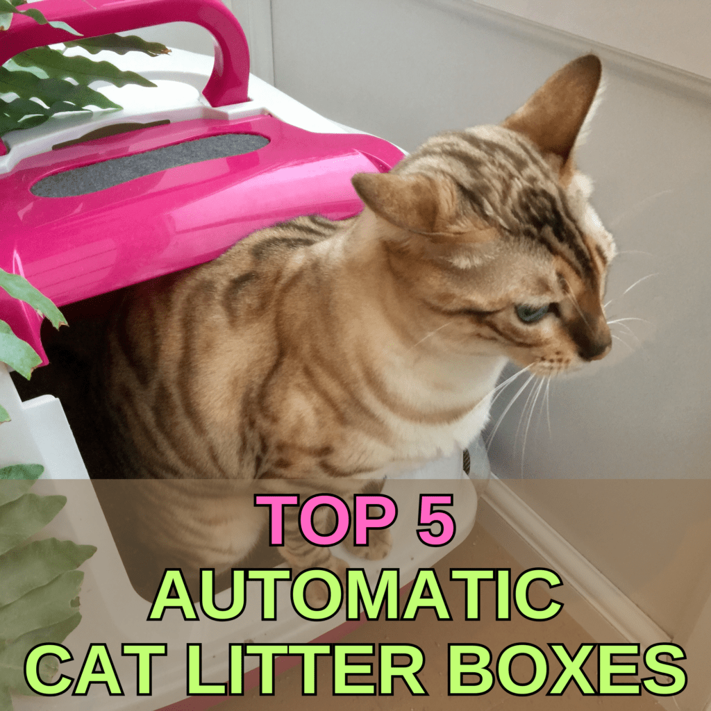 Maintaining a clean litter box is one of the most challenging tasks for cat owners, but with the latest advancements in automatic cat litter boxes, this chore has become significantly easier. In this guide, we explore the top 5 automatic cat litter boxes, each designed to simplify your life and enhance your cat’s comfort.