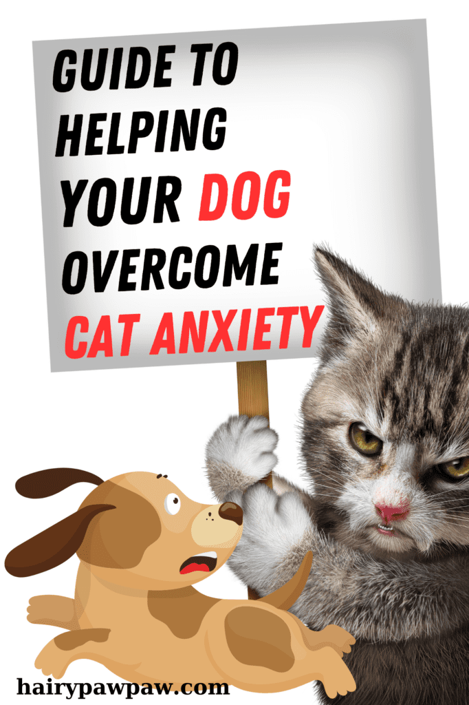 How to Help Dogs Overcome Fear of Cats
When you bring a dog and a cat into the same household, you expect them to live harmoniously. However, what happens when your dog is afraid of your cat? This fear can create tension and stress in your home, leading to behavioral issues and a lack of peace for both pets. In this guide, we’ll explore the reasons behind a dog’s fear of cats and provide actionable solutions to help your dog overcome this fear. Whether you’re a seasoned pet owner or a first-time pet parent, these tips will help foster a more peaceful and happy coexistence between your furry friends.