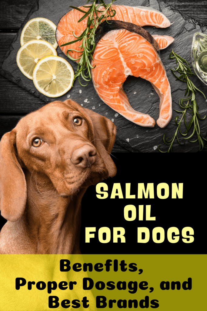 Salmon Oil for Dogs: Discover the Benefits

 Salmon oil is more than just a trendy  supplement for dogs—it’s a powerhouse of nutrition that can significantly improve your dog’s health. From promoting a shiny coat to supporting joint health, salmon oil offers a wide range of benefits. In this comprehensive guide, we’ll delve into everything you need to know about salmon oil for dogs, including its benefits, proper dosage, and the best salmon oils available on the market.