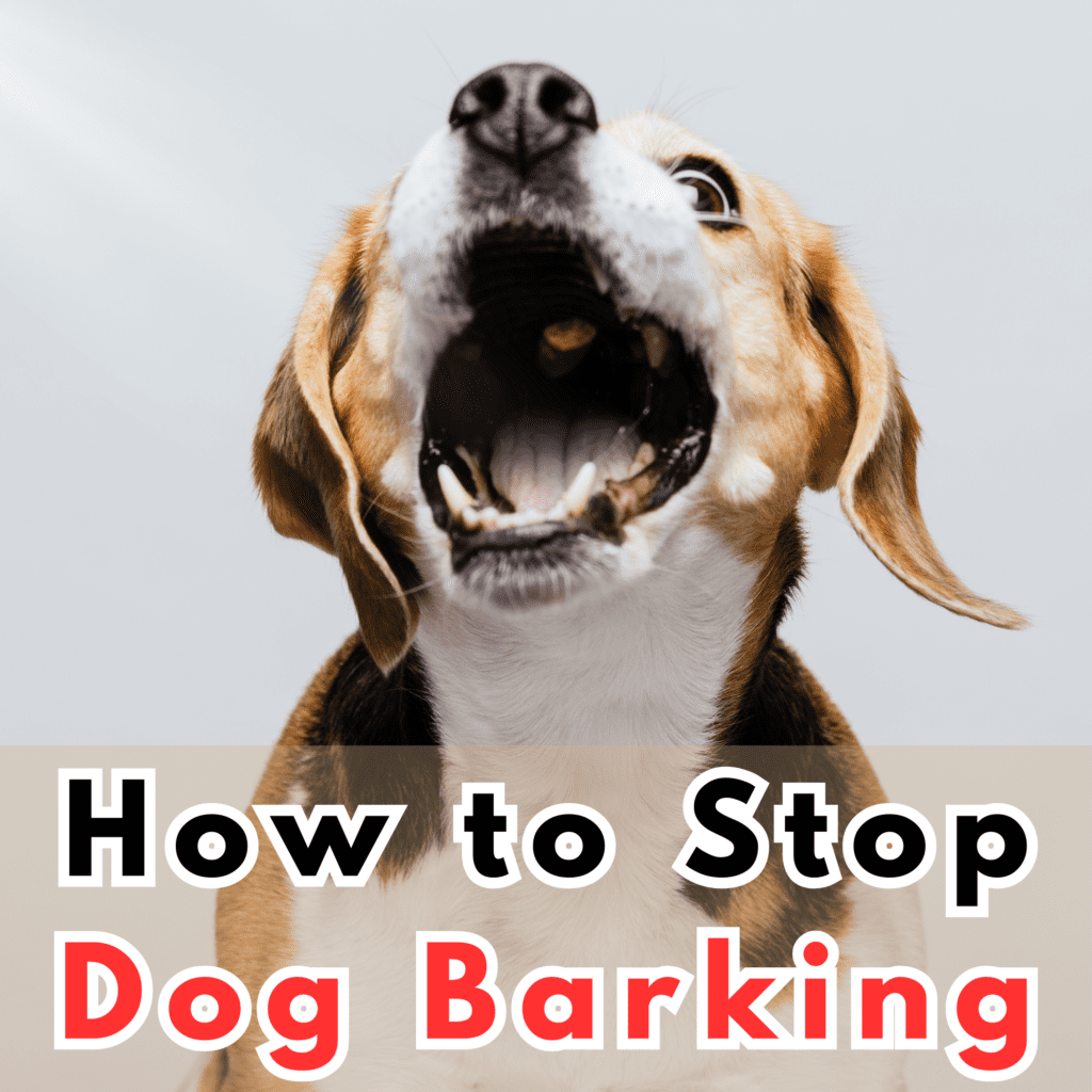 How to Stop Dog Barking: Proven Techniques