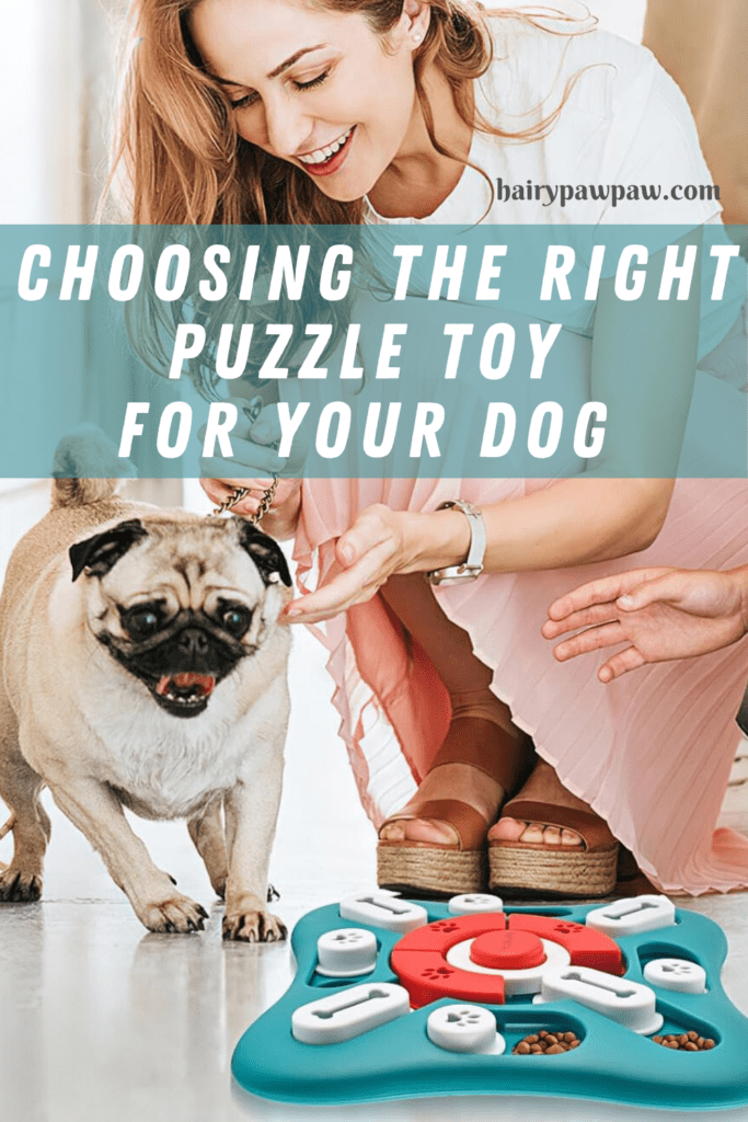 Best Puzzle Toys for Dogs: Pros & Cons