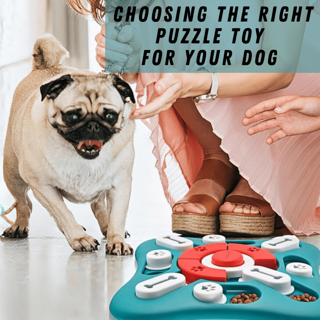 Best Puzzle Toys for Dogs: Pros & Cons

Keeping your dog mentally stimulated and engaged is essential for their overall well-being. Puzzle toys for  dogs are an excellent way to challenge their minds, provide enrichment, and reduce boredom. In this comprehensive guide, we’ll delve into the benefits of puzzle toys, highlight some of the best sellers on the market, and discuss the pros and cons to help you choose the right toys for your furry friend.

