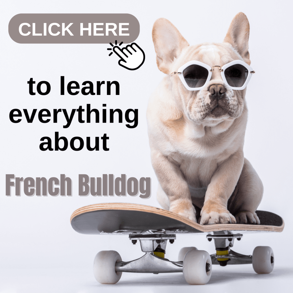 Ultimate Guide to French Bulldog: You Need to Know!

Dive into the world of French Bulldogs with this ultimate guide, covering every aspect of this popular breed. Discover their unique history, playful personality, and why they’re cherished for their affectionate nature and distinctive “bat ears.” This comprehensive guide provides expert insights on French Bulldog care, including training tips, diet recommendations, grooming needs, and health considerations. Whether you’re a new owner or a devoted fan, find everything you need to raise a happy, healthy French Bulldog.

