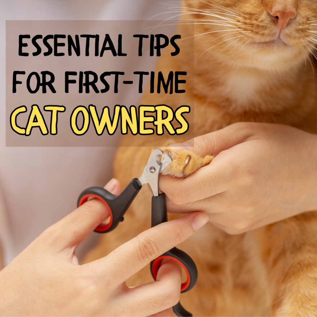 Essential Tips for New Cat Owners: A Comprehensive Guide

Welcoming a  cat into your home can be both exciting and rewarding. However, first-time cat owners often encounter a steep learning curve as they work to understand and meet their new feline friend’s needs. This comprehensive guide, “Essential Tips for First-Time  Cat Owners: Cat Care and Training,” is designed to bridge that gap by offering detailed and practical advice on various aspects of cat ownership.

