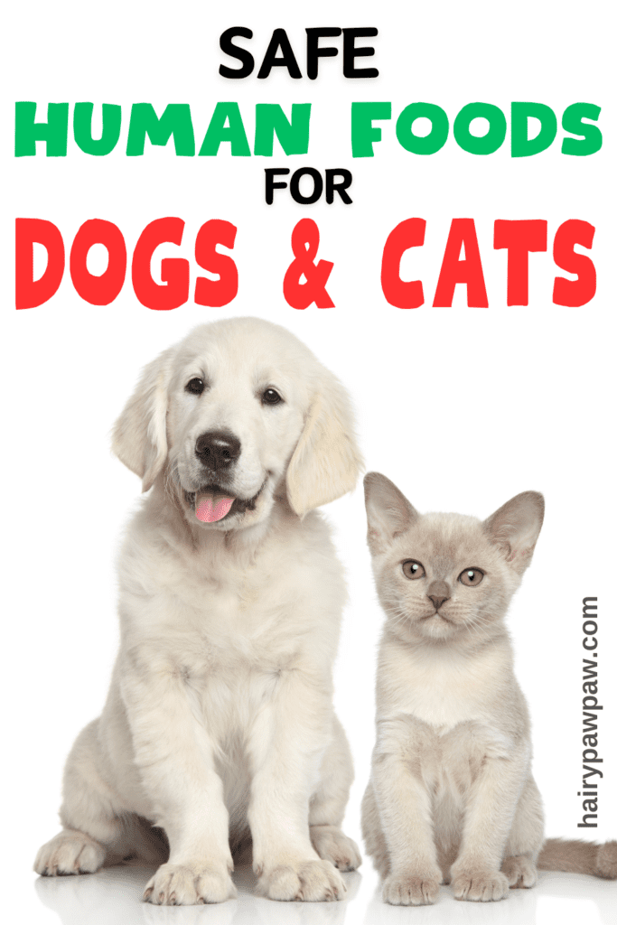 Safe Human Foods for Dogs and Cats: What You Need to Know

As pet owners, we often find ourselves wanting to share our favorite foods with our furry friends. Those pleading eyes and wagging tails make it hard to resist! However, not all human foods are safe for dogs and cats. Feeding your pets the wrong foods can lead to serious health issues, from mild digestive problems to severe, life-threatening conditions.