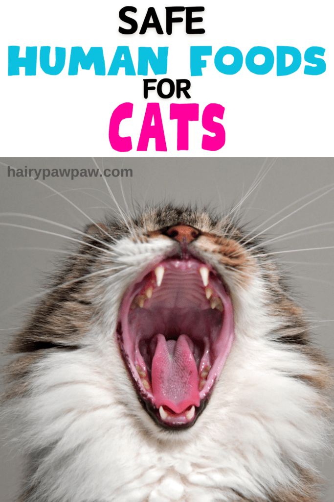 As pet owners, we often find ourselves wanting to share our favorite foods with our furry friends. Those pleading eyes and wagging tails make it hard to resist! However, not all human foods are safe for dogs and cats. Feeding your pets the wrong foods can lead to serious health issues, from mild digestive problems to severe, life-threatening conditions.