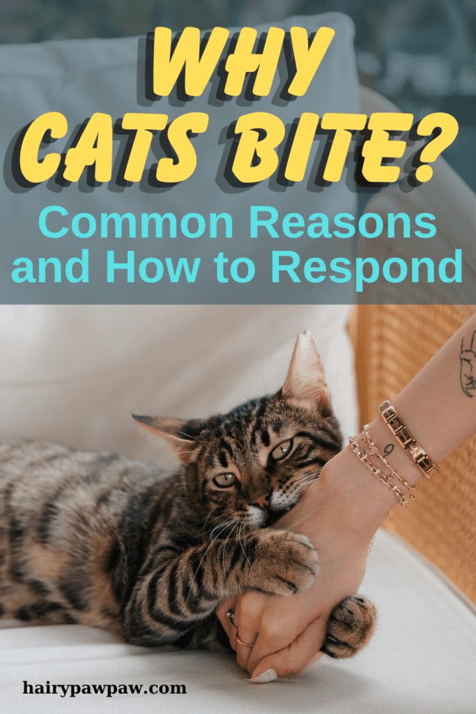 Understanding Why Cats Bite: Common Reasons and How to Respond

Cats are known for their independent and sometimes mysterious behavior, and biting is one of those actions that can leave many cat owners puzzled. While a cat’s bite may seem random or unprovoked, there are often underlying reasons behind it. Understanding why  cats bite can help you foster a stronger bond with your feline friend and avoid potential injuries. In this detailed guide, we’ll explore the various reasons cats bite, what their behavior might be signaling, and how you can respond appropriately.