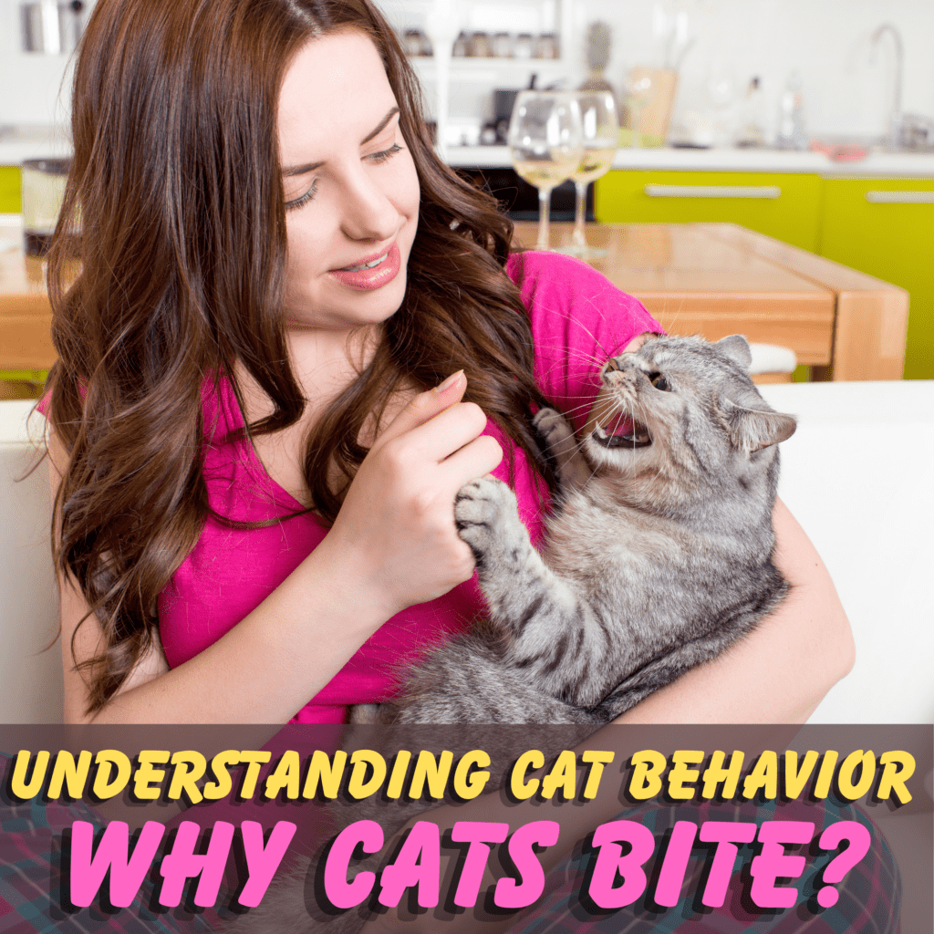 Cats are known for their independent and sometimes mysterious behavior, and biting is one of those actions that can leave many cat owners puzzled. While a cat’s bite may seem random or unprovoked, there are often underlying reasons behind it. Understanding why cats bite can help you foster a stronger bond with your feline friend and avoid potential injuries. In this detailed guide, we’ll explore the various reasons cats bite, what their behavior might be signaling, and how you can respond appropriately.