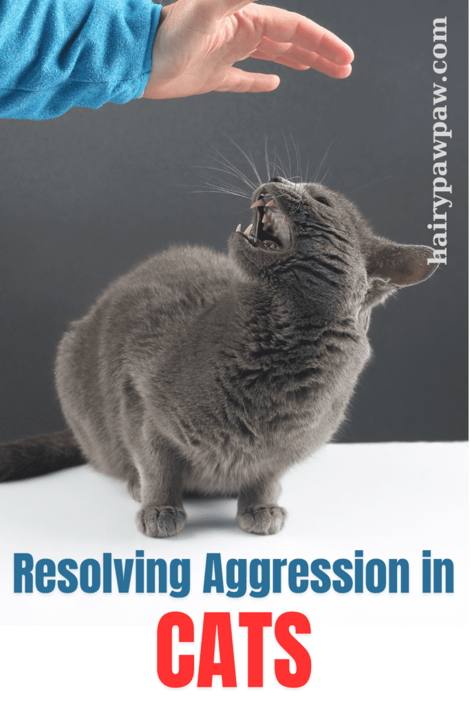 Taming the Tempest: How to Handle Aggression in Cats

This post may contain affiliate links, which means I’ll receive a commission if you purchase through my link, at NO EXTRA COST TO YOU

Aggressive behavior in  cats can be distressing for both the feline and its human companions. Whether your  cat is showing signs of aggression towards people, other pets, or even itself, understanding and addressing these behaviors is crucial for maintaining a harmonious household. This blog explores the various forms of cat aggression, the underlying causes, and practical strategies for managing and resolving aggressive behavior.