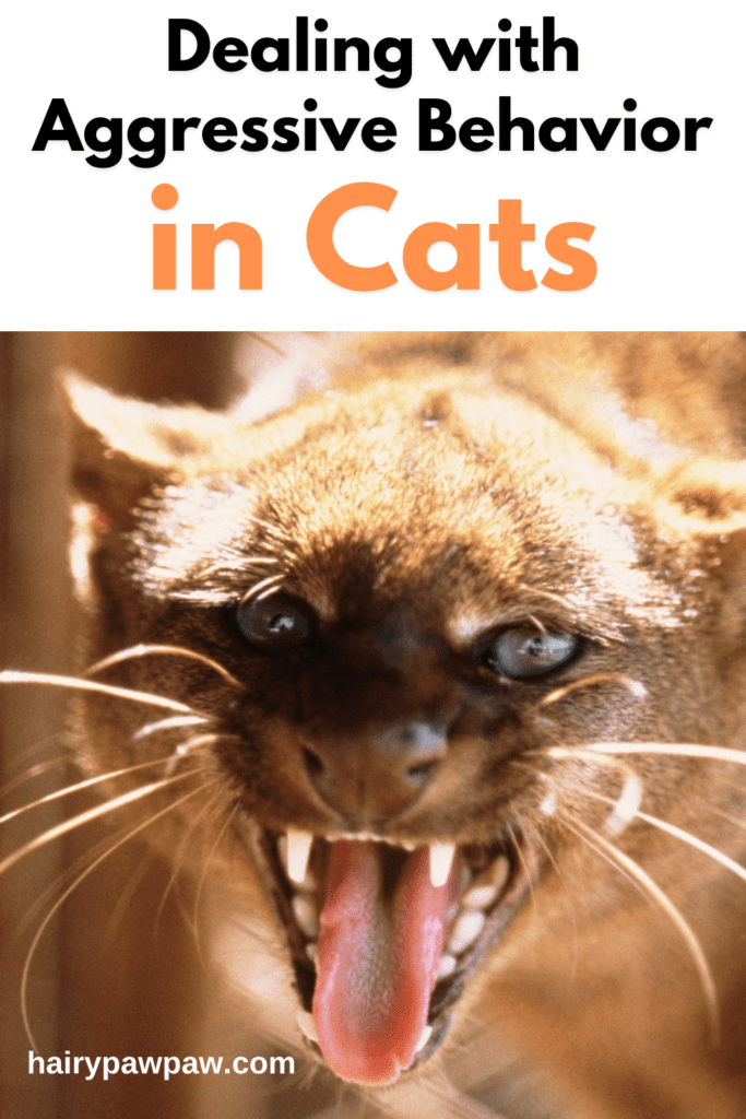 Taming the Tempest: How to Handle Aggression in Cats

Aggressive behavior in  cats can be distressing for both the feline and its human companions. Whether your cat is showing signs of aggression towards people, other  pets, or even itself, understanding and addressing these behaviors is crucial for maintaining a harmonious household. This blog explores the various forms of cat aggression, the underlying causes, and practical strategies for managing and resolving aggressive behavior.