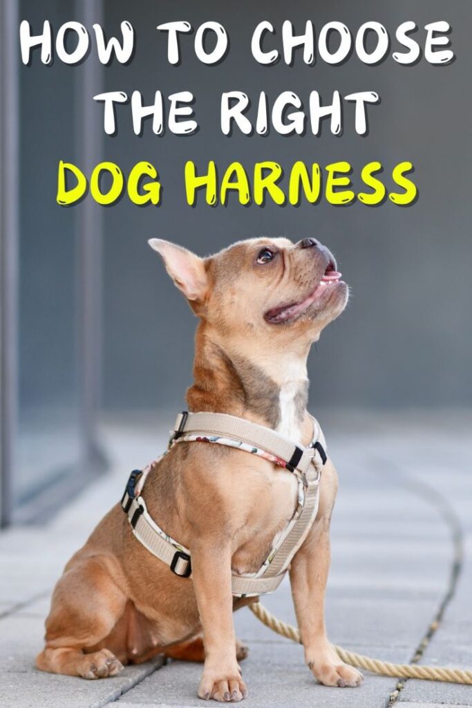 The Best Dog Harnesses: Types & How to Choose

Choosing the right harness for your dog is essential for their comfort, safety, and your peace of mind. With so many options available, it’s important to consider your dog’s specific needs, size, and behavior when selecting a harness. Whether you’re looking for a simple back-clip harness for daily walks or a no-pull option for training, the perfect harness is out there for you and your furry friend.

Remember, a well-chosen harness can make all the difference in ensuring that your walks are enjoyable and stress-free. Happy walking!