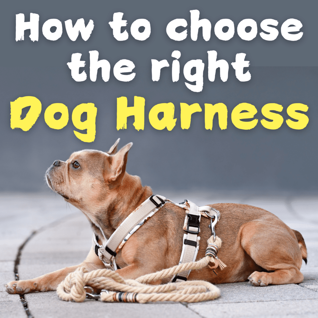 The Best Dog Harnesses: Types & How to Choose

When it comes to walking your  dog, a  harness can be a game-changer. Unlike traditional collars, which can put pressure on your dog’s neck and lead to injury, harnesses distribute the force across the chest and back, making walks safer and more comfortable. Whether you have a tiny Chihuahua or a giant Great Dane, finding the right harness is crucial. In this comprehensive guide, we’ll dive into everything you need to know about dog harnesses, from the different types available to tips on how to choose the best one for your furry friend.