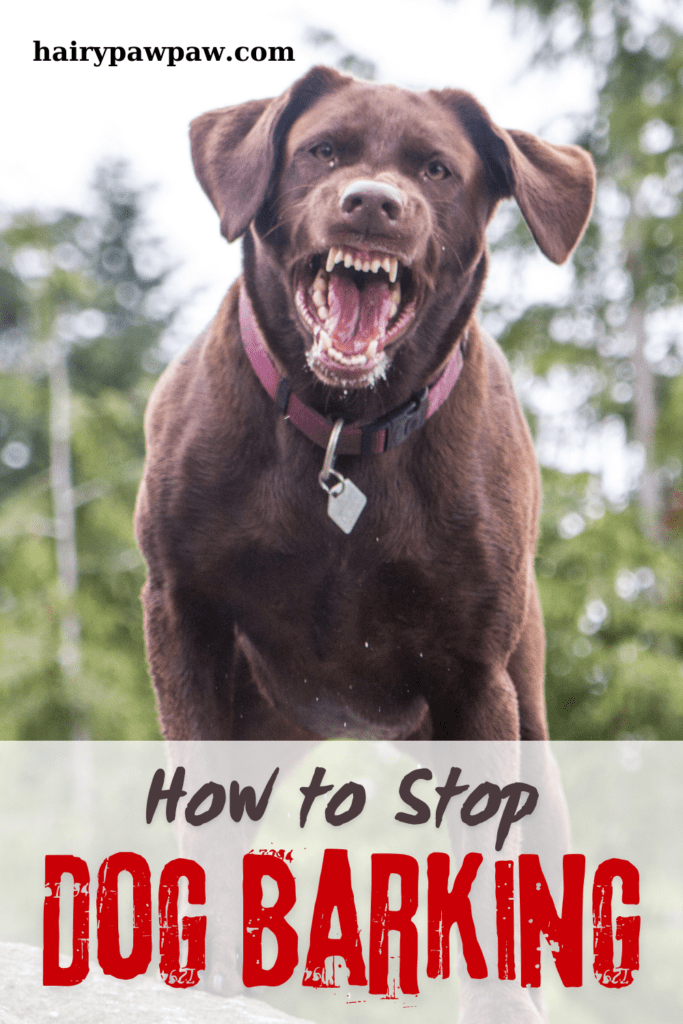 How to Stop Dog Barking: Proven Techniques

This post may contain affiliate links, which means I’ll receive a commission if you purchase through my link, at NO EXTRA COST TO YOU

Excessive barking can be a significant challenge for dog owners. While barking is a natural way for  dogs to communicate, incessant barking can lead to frustration and stress for both you and your neighbors. Understanding why your dog barks excessively and implementing effective strategies to manage and reduce this behavior can help restore peace to your home. This blog provides a detailed guide on addressing excessive barking, covering causes, prevention strategies, and practical solutions.