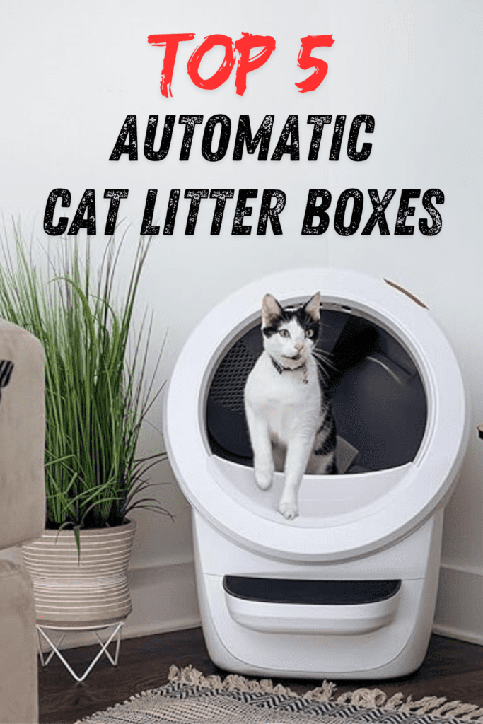 Top 5 Automatic Cat Litter Boxes: Clean Made Easy

This post may contain affiliate links, which means I’ll receive a commission if you purchase through my link, at NO EXTRA COST TO YOU

Maintaining a clean litter  box is one of the most challenging tasks for  cat owners, but with the latest advancements in automatic cat litter boxes, this chore has become significantly easier. In this guide, we explore the top 5 automatic cat litter boxes, each designed to simplify your life and enhance your cat’s comfort. From innovative self-cleaning mechanisms and superior odor control to spacious designs and advanced features like app connectivity, these litter boxes are revolutionizing pet care. We’ll delve into the pros and cons of each model, highlight the standout features, and provide insights on which options best suit different lifestyles and cat needs. Whether you’re looking for a high-tech solution or a budget-friendly choice, this comprehensive review will help you find the perfect automatic litter box that meets your needs. Say goodbye to the hassle of daily scooping and hello to a cleaner, fresher home for both you and your feline friend