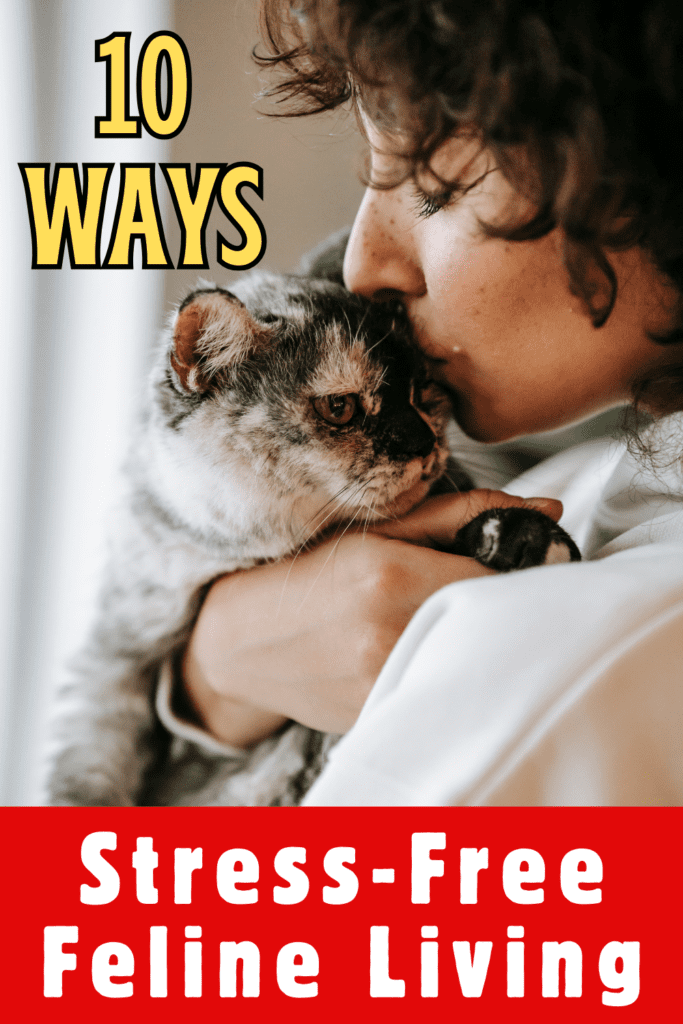 Cats are known for their independent and sometimes aloof nature, but they can also experience stress and anxiety just like any other pet. Whether it’s due to a change in their environment, a visit to the vet, or the introduction of a new pet, it’s important to know how to keep your cat calm. In this detailed guide, we’ll explore 10 effective ways to help your feline friend stay relaxed and content.