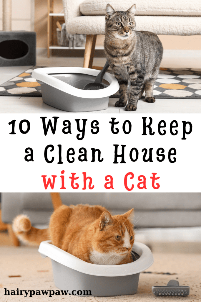 Cats are wonderful companions, but they can also bring a unique set of challenges when it comes to keeping your home clean. From shedding fur to tracking litter, maintaining a tidy living space with a feline friend requires some extra effort. However, with the right strategies, you can enjoy a clean and fresh home without sacrificing your cat’s comfort or happiness. Here are ten effective ways to keep a clean house with a cat.