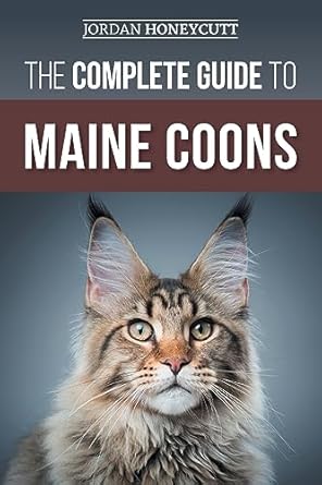 Author Jordan Honeycutt used interviews with 14 TOP Maine Coon Breeders to create the perfect guidebook for any new Maine Coon owner!

This book is a comprehensive guide to everything Maine Coon! Covering everything a new owner will need to know including:
Selecting the perfect Maine Coon cat from a reputable breeder
Health tests and certifications
Preparing your home and family for your new Maine Coon cat
The emotional needs of a Maine Coon
Detering common bad behaviors
Training and socialization (including clicker training basics)
Grooming tips for a Maine Coon
Nutritional advice
Common Maine Coon diseases, illness, and prevention
Cat shows and competitions: an introduction
Adjustments for an aging Maine Coon cat