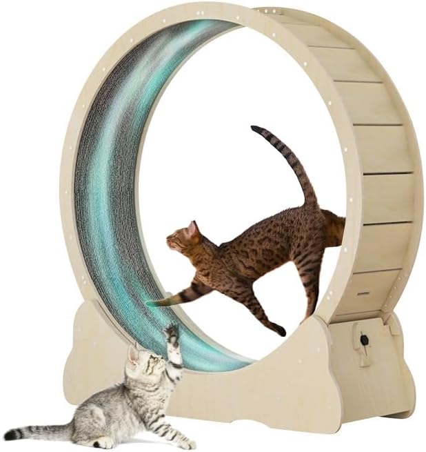 Keep Your Cat Active and Healthy: Running is an excellent way for cats to relieve anxiety, combat stir craziness, and beat boredom in the comfort of your home. The Homegroove cat wheel exerciser for indoor cats offers a fantastic opportunity for your beloved feline friend to stay active and engaged throughout the day
Suitable for All Cat Sizes: We offer a range of sizes and colors for our cat treadmill for indoor cats, giving you options to choose from. With sizes ranging from 33.5 inches to 59 inches, and colors including natural wood, black, white, pink, and blue, you can find the fit style for your furry friend
New Upgrade - To Prevent Cats From Pinching Their Feet: We have upgraded the cat exercise wheel treadmill by reducing the gap between the base and the kitty treadmill, which can effectively prevent cats from getting their feet caught when getting on and off the treadmill. The anti slip carpet surface of rueda para gatos ejercicio ensures stable grip of the paws during running, keeping your little furry friends safe
Noise Reduction and Built-in Safety Lock: Upgraded with 8 TPE cat wheels, this cat exercise wheel ensuring maximum noise reduction for a peaceful indoor cat running experience. The specially designed wheel features a cute fish lock that allows the wheel to switch between spinning and stationary modes, providing control over your cat's playtime. The lock can also secure the cat treadmill when no one is home to prevent accidents
Built To Last: Our cat running wheels for indoor cats are constructed from multi-layer wood, utilizing birch and poplar with a thickness of 0.5 inches (12 millimeters), ensuring a play environment for your kitty. The cat treadmill wheel features a widened base and runway design that significantly increases stability, providing your indoor cats with a secure treadmill experience while they run and exercise
Easy to Assemble and Clean: This cat exercise equipment has pre-drilled holes, making it easy to assemble. Using an electric screwdriver, installation takes faster 30 minutes. Additionally, the thickened cat scratch pad can be easily removed for hassle-free cleaning