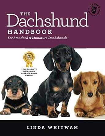 The No.1 Dachshund Bestseller!

FIVE STARS from 4 out of 5 owners.
"This book is an excellent resource for anyone who is looking to purchase or rescue their first or fourth Dachshund. FIVE STARS," DEIRDRE, AMAZON TOP CONTRIBUTOR: PETS

“A brilliant, comprehensive guide for any new dachshund owner! With lots of tips & tricks from some of the most knowledgeable people in the dachshund world, I’ve found this really useful to help me understand my pup & give him everything he needs to become a very well-behaved little dog!” FREYA, UK

Recommended by The Dachshund Breed Council Health Committee.

No other dogs are quite like Dachshunds. They are clever, brave, curious, incredibly loyal, affectionate, lively, full of their own importance - & lots of FUN!

They are also typical hounds, so can be a bit stubborn & slow to housetrain. If not properly raised, some can become too fond of the sound of their own bark.

The trick is to persuade them that what YOU want them to do is actually what THEY want to do!

Dachshund-Specific Training Techniques:
Professional dog trainer & Dachshund breeder Lisa Cole helps you teach your Dachshund The Recall & other commands, & how to stop unwanted behaviour like too much barking or digging.

In addition, 14 breeders of Miniature, Standard, Smooth, Wire & Long-Haired Dachshunds share their insider tips for raising & training a Daxie that's a joy to live with:

First Few Weeks, Step by Step
Taking Control Positively
Building a Bond
Crate Training & Housetraining Daxies
Successful Obedience Techniques
How Long Can I Leave My Puppy?
Can I Stop My Dachshund Digging?
Avoiding Back Problems
What Makes My Dachshund Tick?

There are also extensive chapters on:

Health
Feeding
Behaviour & Typical Breed Traits
Training
Exercise - Puppies & Adults
Socialisation
Grooming - the Long & Short of It
The Facts of Life
Dachshund Rescue
Caring for Seniors