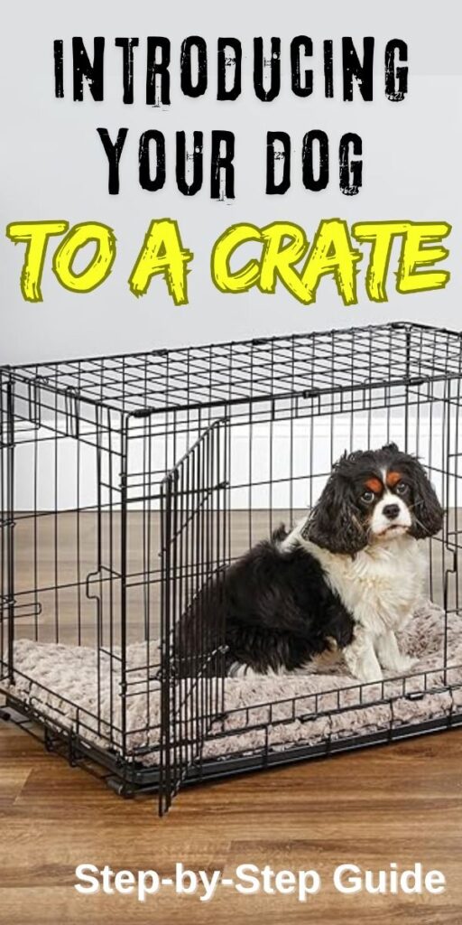 Top 25 Dog Crates: Ensuring Safety and Comfort
 Dog crates are a vital tool for dog owners, providing a safe and comfortable space for  pets. They are useful for training, travel, and creating a secure environment for your dog. This comprehensive guide covers everything you need to know about dog crates, from choosing the right type and size to practical tips for crate training and maintenance. Whether you’re a new pet parent or a seasoned dog owner, this guide will help you make informed decisions and enhance your dog’s quality of life.