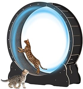 ✅【Cat Safety Always Comes First】We all know cats are very agile, but once it get hurt on a cat wheel, it'll never run again. So, Our the gap between base and roller is reduced to a minimum less than 6mm to prevent the cat's paws from pinching. Otherwise, it will be just a piece of decor furniture!
✅【 Smooth Solid Wood Cat Wheel 】 This cat running wheel is made of real solid wood board, the surface is polished flat and smooth, and don't worry about has splinters. The base is widened and has a lower center of gravity. It spins easily, can hold cats up to 40 lbs and wheel not falls over. Also ideal for small dogs.
✅【 Low Noise Spin & Cute Fishy Lock 】 8 TPE silent pulley with steel ball bearing, even at night or lunch break, the cat running wheel can run more quietly, comfortably and smoothly, without affecting the family's sleep. The cute little fishy lock allows the wheel to switch between rotating & stationary states. Supports cat running, spinning, climbing & napping.
✅【 Only Need A Electrical Screw Driver 】 The package is equipped with detailed installation manual and all accessories. You only need an electric screwdriver to quickly assemble it (can be finished faster by 2 adults). Comfortable terry carpets is flat & no crease, the Velcro design is easy to replace and clean.
✅【 Large Wheel Exerciser For All Cats 】 Overall Dimensions (L x W x H): 40" x 14 3/8" x 42" ( 100cm x 36.5cm x 107cm). Cat Running Wheel Diameter: 40" (100cm), Width: 12" (30.5cm). The diameter of the wheels is large enough to let adult cats run without harming the spine.