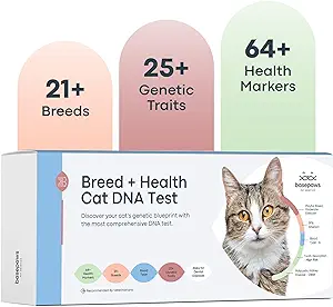 EASY TO USE, IMPACTFUL RESULTS: Collect a sample, package it up, and send it securely back. Just register, swab, return with the included pre-paid mailer, and receive a detailed online report in 4-6 weeks!
MOST COMPREHENSIVE BREED & TRAIT: Our test distinguishes over 20+ distinct breeds and 50+ trait markers with the most scientifically advanced cat DNA test kit for breed similarity.
SCREEN FOR 40+ GENETIC DISEASES: Get peace of mind by screening for 64 health markers associated with 43 diseases for which your cat may be genetically predisposed. Early detection helps you and your veterinarian get ahead of diseases before they become life-threatening.
ONLY TEST WITH ACTIVE ORAL HEALTH REPORT: 70-90% of cats have active oral health issues. Be proactive in care for periodontal disease, bad breath, and tooth resorption to safeguard against diabetes, chronic kidney and heart disease, and other conditions
VET-TESTED, PET-PARENT APPROVED: Basepaws has been trusted by tens of thousands of pet parents, veterinarians and even Sharktank to provide the most actionable insights to help create care plans for your furry friend