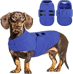 【Premium, Cozy & Warm Fleece Vest for Your Puppy to Keep Warmth All Winter Long】 - Our fleece dog vest is constructed with durable, soft, and warm micro elastic polyester, which is super friendly to sensitive skin， will not hurt dog's skin and keeps warm all day long. Available in XS-XL size to fit small dogs to medium dogs, it also fits your cute kittens and cats!
【Unique & Ingenious Design】 - This dog winter sweater is a pullover for easy on and easy off. Queenmore dog sweater is designed with a wide abdominal adjustable range to fit all kinds of dog sizes perfectly, which ensures optimal warmth and comfort for your pup or kitten. The dog sweatshirt is designed with a leash hole on the back.
【Queenmore Dog Sweatshirt Vest Offers Endless Fashion】The dog clothes for small dogs girl boy are tailored with stylish decorative ribbons on the back adding more style to this dog sweater. The soft doggie sweaters are perfect for winter out, holiday occasions, as well as everyday wearing, and also be a great present choice for your furry friends' birthday.
【Easy Care】 - Easy to wash and dry. Eliminating the hassle of hand washing, Pet dog sweaters can be machine-washed. High-quality material makes the puppy sweaters not easy to shrink or pill after wash. Durable for long-term wearing.
【Classic Dog Fleece Sweater Will Never Fade】 - Solid soft fleece with exquisite craftsmanship makes this winter dog sweater more unique, it would be a great winter apparel for your furry friends. Prepare one for your dog and ready to enjoy your winter adventure.